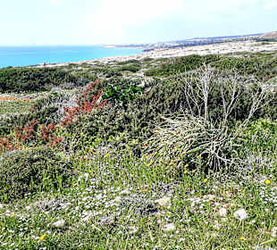 Nationalpark Kap Greco