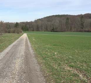 Gomaringer Rundweg - Zu den Giganten im Wald
