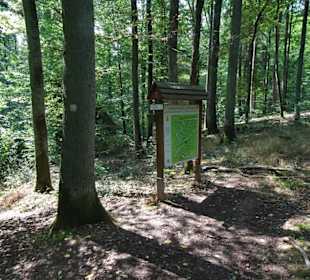 Rundgang durch den Landschaftsgarten Bettenburg