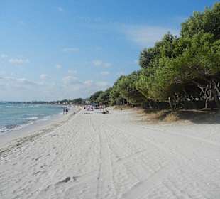 Strand Alcudia