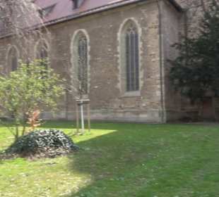 Sciola-Stein