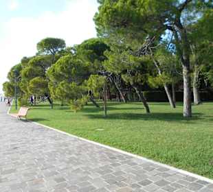 Giardini della Biennale