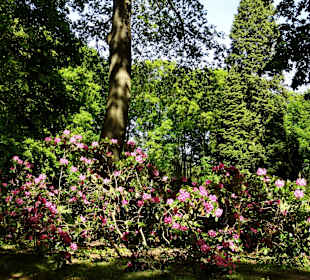 Spaziergang durch die Graftanlagen