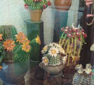 Мuseum Маrcipan Sabo