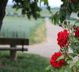 Wandern Kapellen-Drusweiler