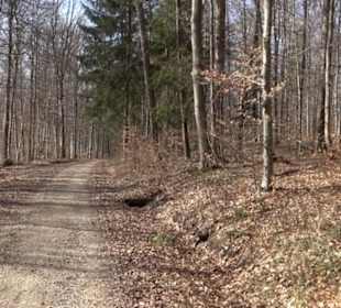Premiumwanderweg Hohenwittlingensteig