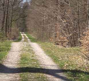 Waldkulturerbe Neuweiler Viehweide