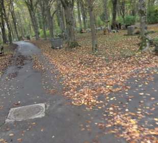 Waldfriedhof