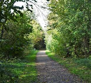 Rundgang um den Drielaker See