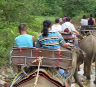 Baan Chang Thai Elefanten Camp