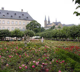 Rosengarten neben der Neuen Residenz