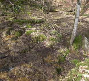 Gütersteiner Wasserfall