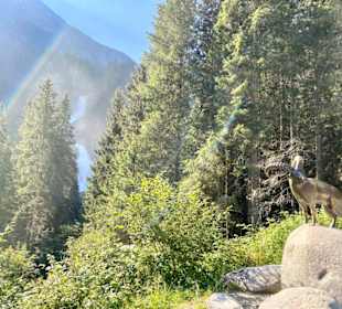 Am Eingang zum Park!