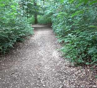 Hochgeträumt Premiumwanderung