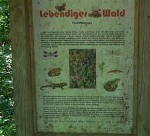 Waldinformationssystem „Lebendiger Wald“