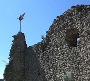 Burg Hölnstein Stetten u. Holstein