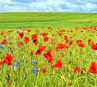 Wandern Sellin auf Rügen