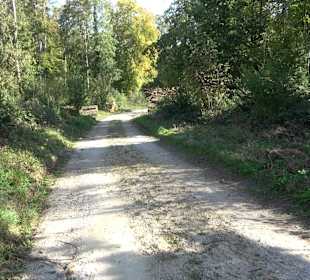 Bussen Schöpfungsweg Offingen
