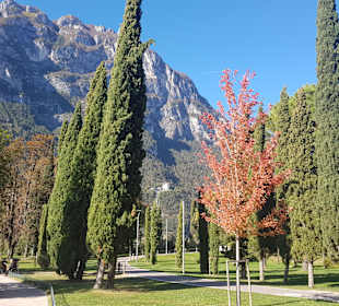 Altstadt Lazise