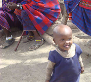 Park Narodowy Serengeti