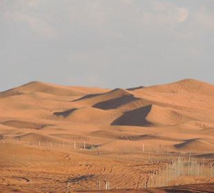 Sanddünen im Abendlicht