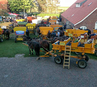 Wattwagentreffen auf Neuwerk