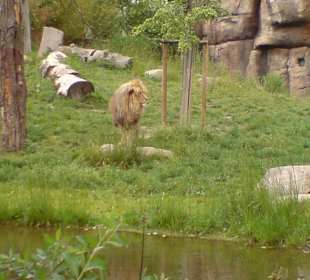 Zoo Leipzig