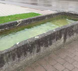 Brunnen Kornbühlstraße Salmendingen