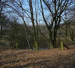 Wunderschöne Boberger Niederung