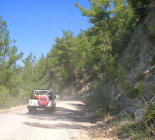 Jeep-Safari