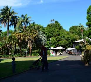 Botanischer Garten 