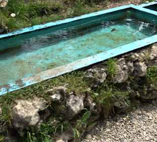 Schlichemquelle Tieringen