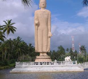 Der gröste Budda auf Sri Lanka