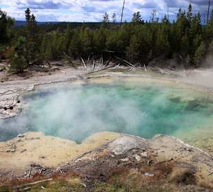 Norris Geysir Becken