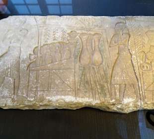 Exponate des Ägyptischen Museums Bonn