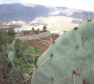 Viele schöne Motive