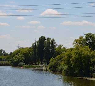 Jezioro Czerniakowskie
