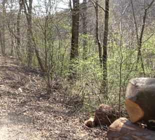 Geologischer Lehrpfad Kirnbachtal