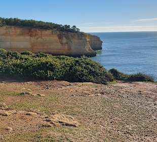 Seven Hanging Valleys Trail