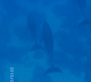 Ein sehr schönes Gefühl!