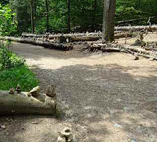 Wandern Bad Schandau