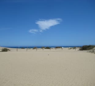 Dünen von Maspalomas