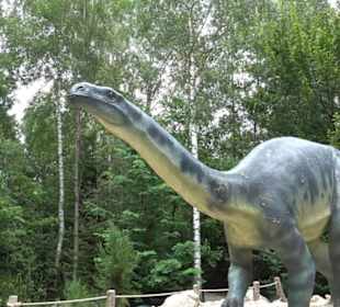 Dinosaurier Museum Altmühltal