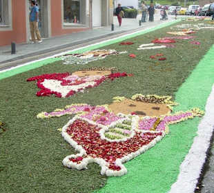 Alfombras florales Burela