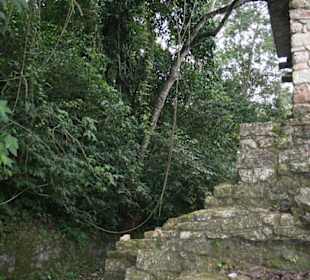 Kompleks Palenque