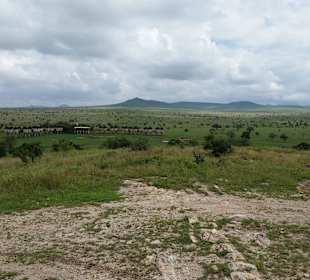 Sarova Salt Lick Game Lodge