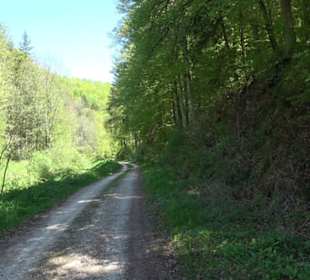 Magolsheimer Buchtalweg