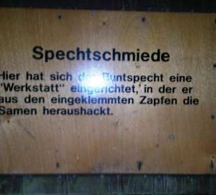 Tafeln im Wald Beschreibung