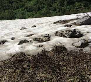 Sommer und Gletscher