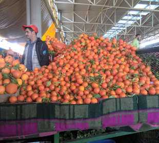 Orangenstand in Souk